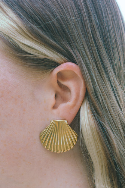 Chunky Shell Studs