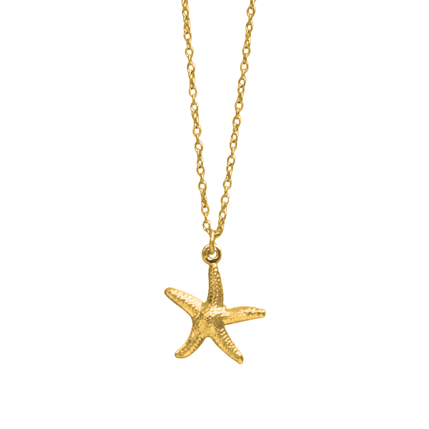 Starfish Necklace