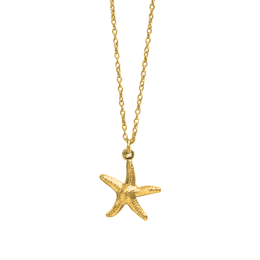 Starfish Necklace