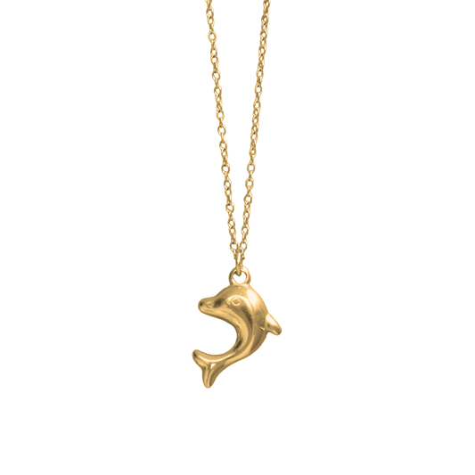 Dolphin Necklace