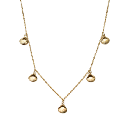 Shell Cove Necklace