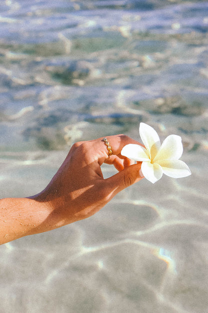 Shell Cove Ring