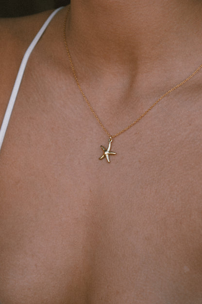 Starfish Necklace